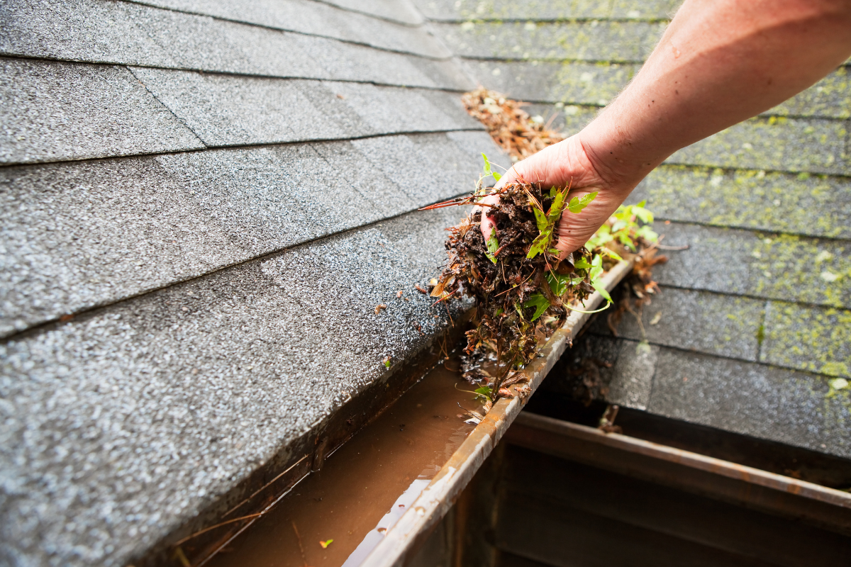 Clogged Gutters 
